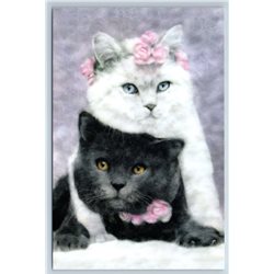 BLACK & WHITE CATS Couples with Roses Art Russian Modern postcard