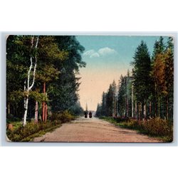 1900's ROAD to Trinity Lavra of St. Sergius Russian Monastery Postcard