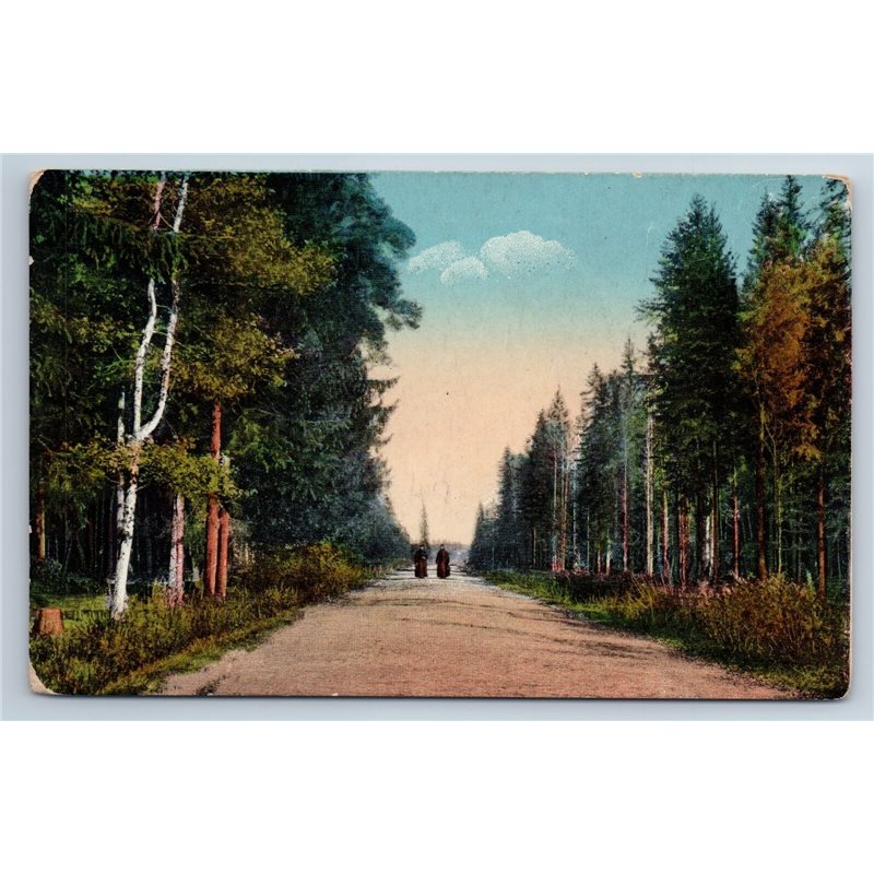 1900's ROAD to Trinity Lavra of St. Sergius Russian Monastery Postcard