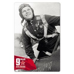 WWII Ivan Kozhedub Soviet military aviator & fighter ace New Unposted Postcard