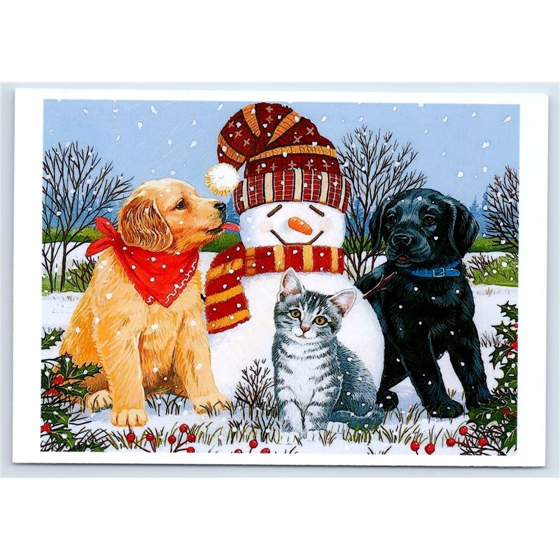 CAT & DOGS Puppy near SNOWMAN Winter snow Funny New Unposted Postcard