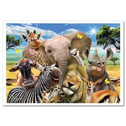 FUNNY WILD ANIMAL Elephant Lion Giraffe in Africa Humor New Postcard