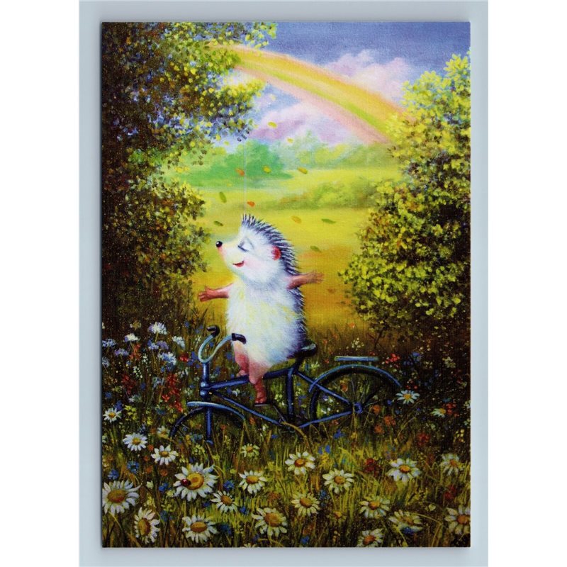 HEDGEHOG on bike Wind in Head Rainbow Field by Glushcenko New Postcard