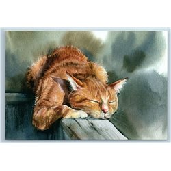 GINGER RED CAT sleeping on wood by Statnyh Russian New Postcard