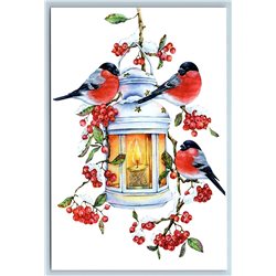 BULLFINCHES Birds on Candle Lamp Rowanberry Xmas Mood Russian New Postcard