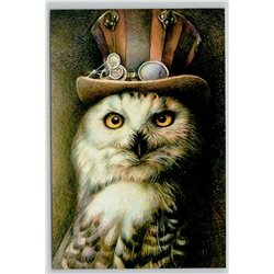 WISE OWL in Tall Hat wih Sunglasses Steampunk Unusual New Unposted Postcard