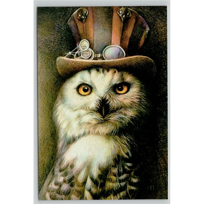 WISE OWL in Tall Hat wih Sunglasses Steampunk Unusual New Unposted Postcard