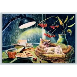 CATS on Window Cute Sleep Sweet dream Lamp BOOK Rainy Day Russian New Postcard