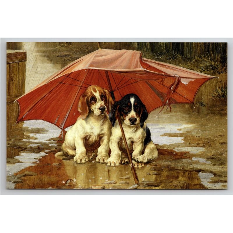 FUNNY DOGS PUPPY Spaniel under Umbrella Rain by Trood New Unposted Postcard