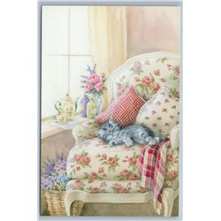 CUTE TABBY CAT Kitten sleeps in Chair Porcelain Kettle Tea Russian New Postcard