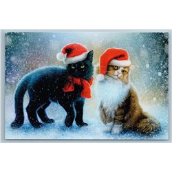 BLACK n FLUFFY CATS in Christmas Hats Snow Winter Russian Unposted Postcard