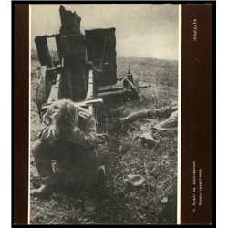 German fascist in the artillery gun The end WWII Real Photo USSR RARE Postcard