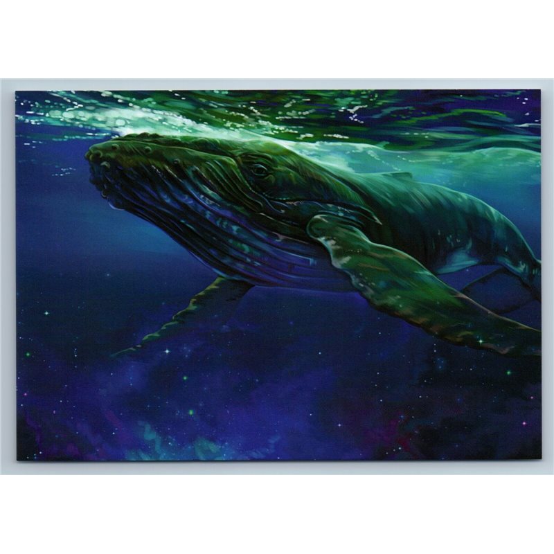 SPACE WHALE in Ocean Wild Nature Beautiful Russian Unposted Postcard