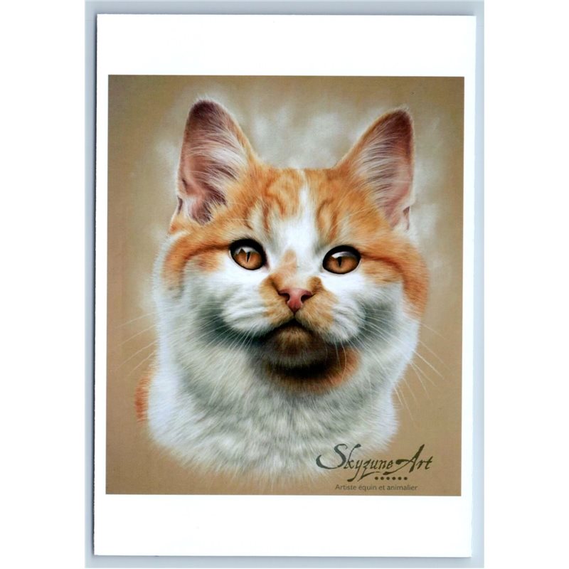 FUNNY RED GINGER WHITE CAT with amber eyes ill. New Unposted Postcard