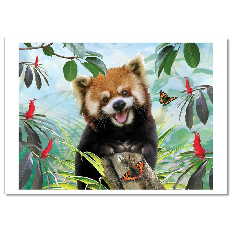 FUNNY RED PANDA MARUMI on tree Butterfly Humor New Unposted Postcard