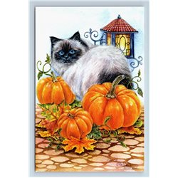 CUTE CAT  SIAMESE THAI and Pumpkins Garden Lamp Halloween New Modern Postcard