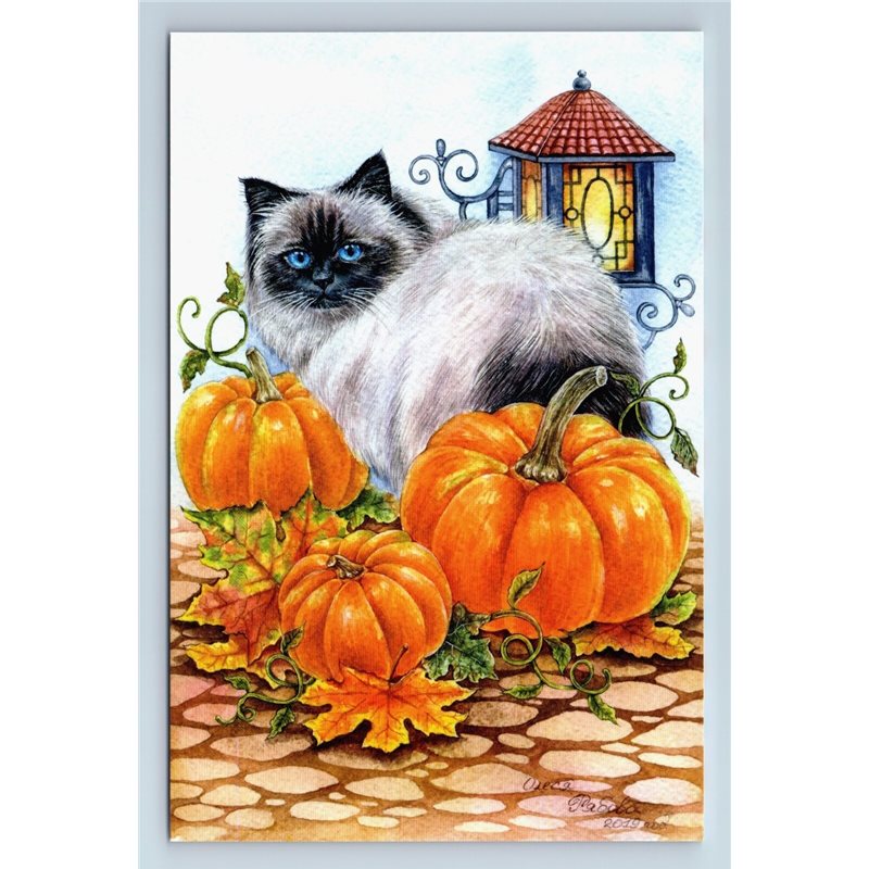 CUTE CAT  SIAMESE THAI and Pumpkins Garden Lamp Halloween New Modern Postcard