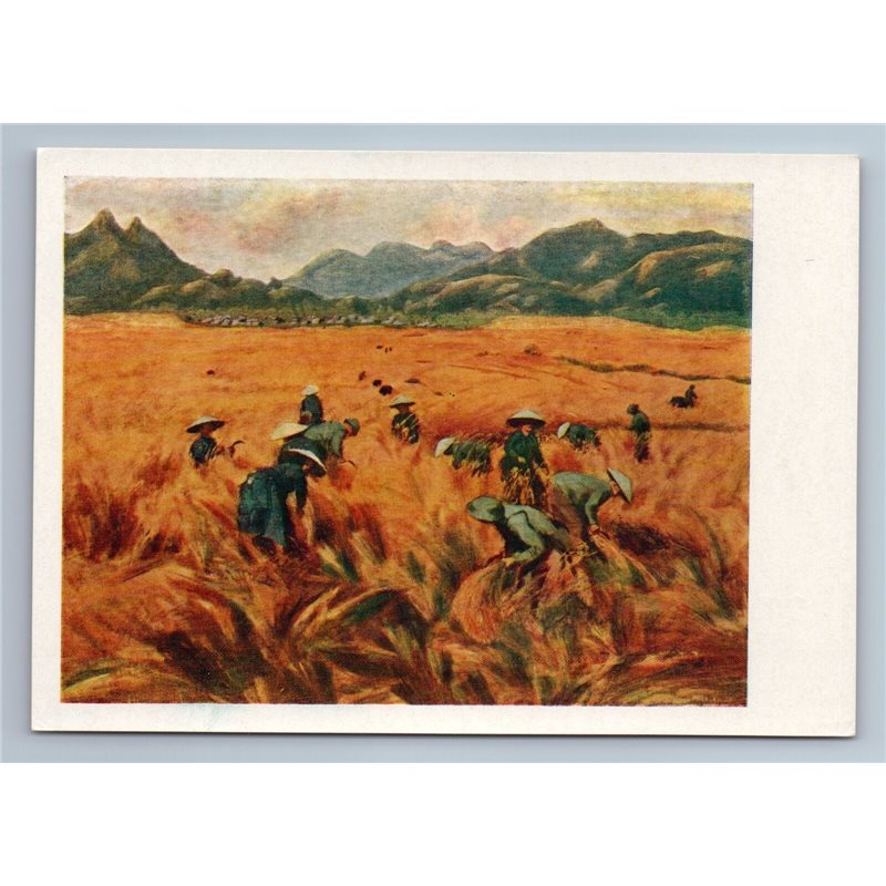 1960 VIETNAM HARVEST Peasant Village Fields ART Soviet USSR Postcard