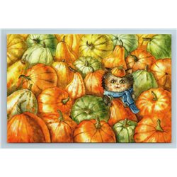 FUNNY CAT in Pumpkins Garden Humor Late Fall New Unposted Postcard