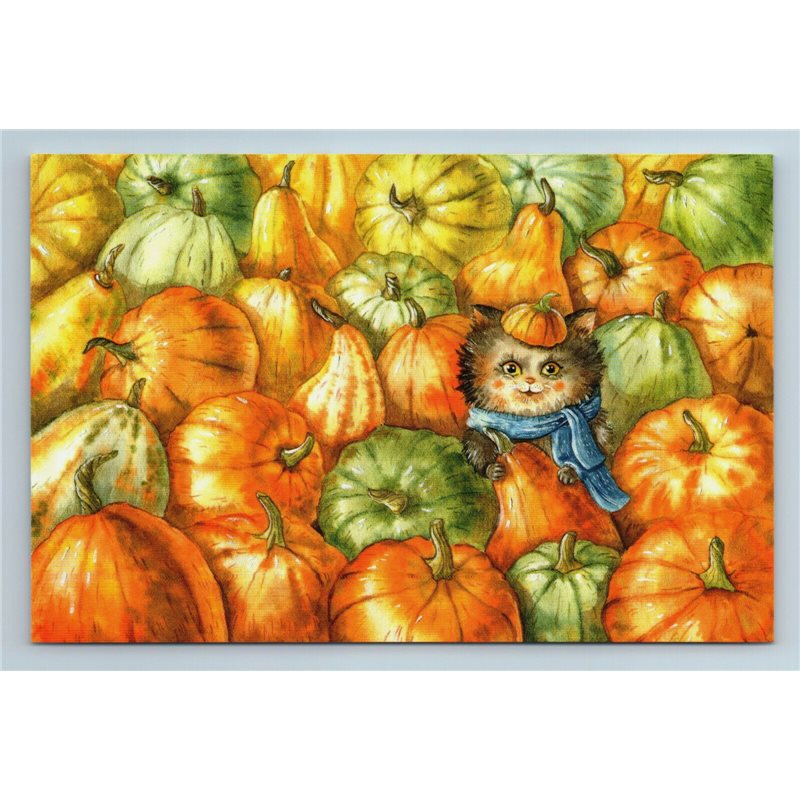 FUNNY CAT in Pumpkins Garden Humor Late Fall New Unposted Postcard