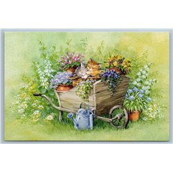 CUTE CAT Kittens sleeping in wooden cart Summer Garden Russian Unposted Postcard