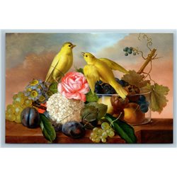 BIRDS Canaries with Flower Fruit STILL LIFE by Franz Petter Russian NEW postcard