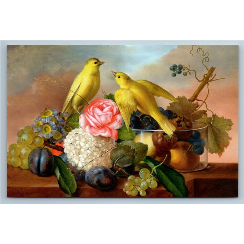 BIRDS Canaries with Flower Fruit STILL LIFE by Franz Petter Russian NEW postcard