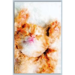 CUTE RED CAT Kitten So sweet Everything will be Fine Russian New Postcard