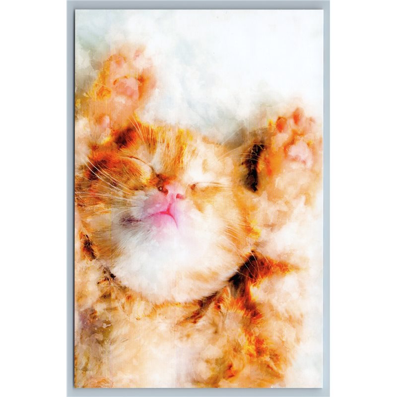 CUTE RED CAT Kitten So sweet Everything will be Fine Russian New Postcard