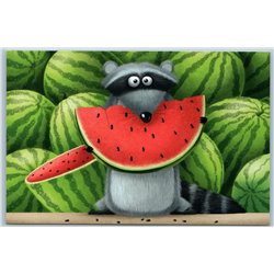 FUNNY RACCOON and WATERMELON Comic Humor Unusual Russian New Postcard