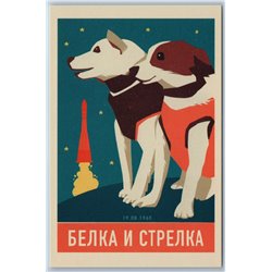 BELKA and STRELKA Space dogs SOVIET Cosmos Animal Rocket Unusual New Postcard