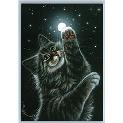 CROSS-EYED CAT try to Catch MOON Starry Ski Night Russian New Postcard