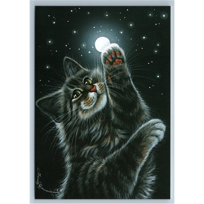 CROSS-EYED CAT try to Catch MOON Starry Ski Night Russian New Postcard