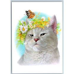 CUTE GRAY CAT in Flower wreath Butterfly Green Eyes Russian New Postcard