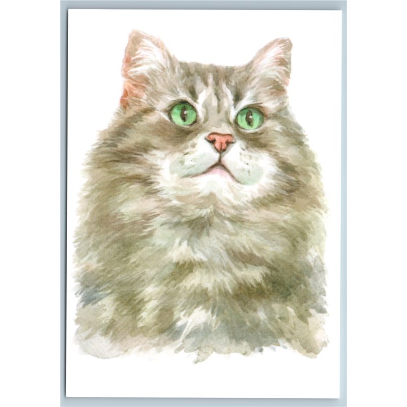 SIBERIAN CAT with Green Eyes Watercolor Art Pet Russian New Postcard