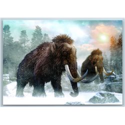 MAMMOTHS in Snow Prehistoric Animal DINO ERA Russian New Postcard
