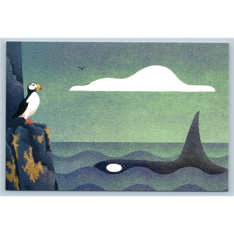 PUFFIN BIRD n KILLER WHALE Arctic Sea Seascape Unusual Art Russian New Postcard