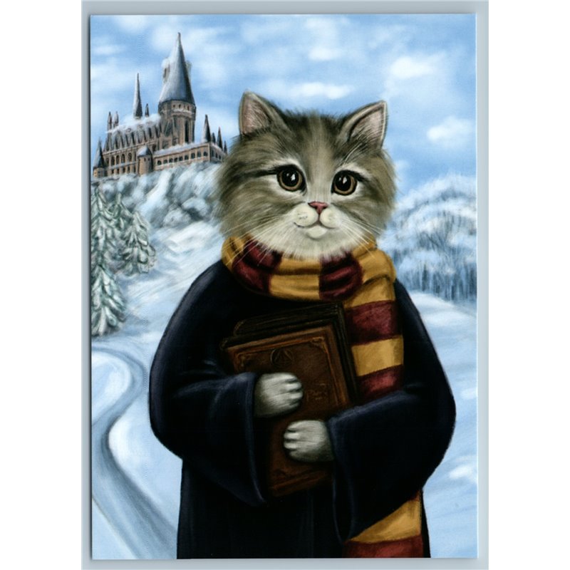 CAT with Book as Hermione Granger in Hogwarts Harry Potter Fantasy New Postcard