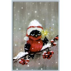 BULLFINCH Bird in Santa Claus hat on Rowan branch Christmas Russian New Postcard