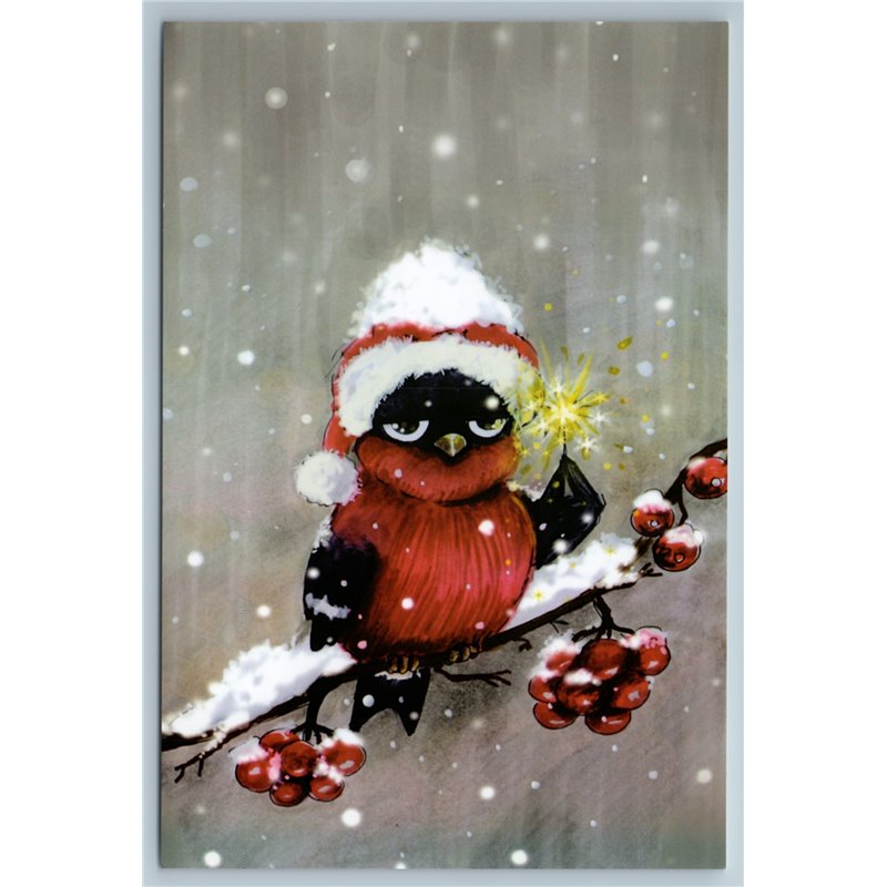 BULLFINCH Bird in Santa Claus hat on Rowan branch Christmas Russian New Postcard