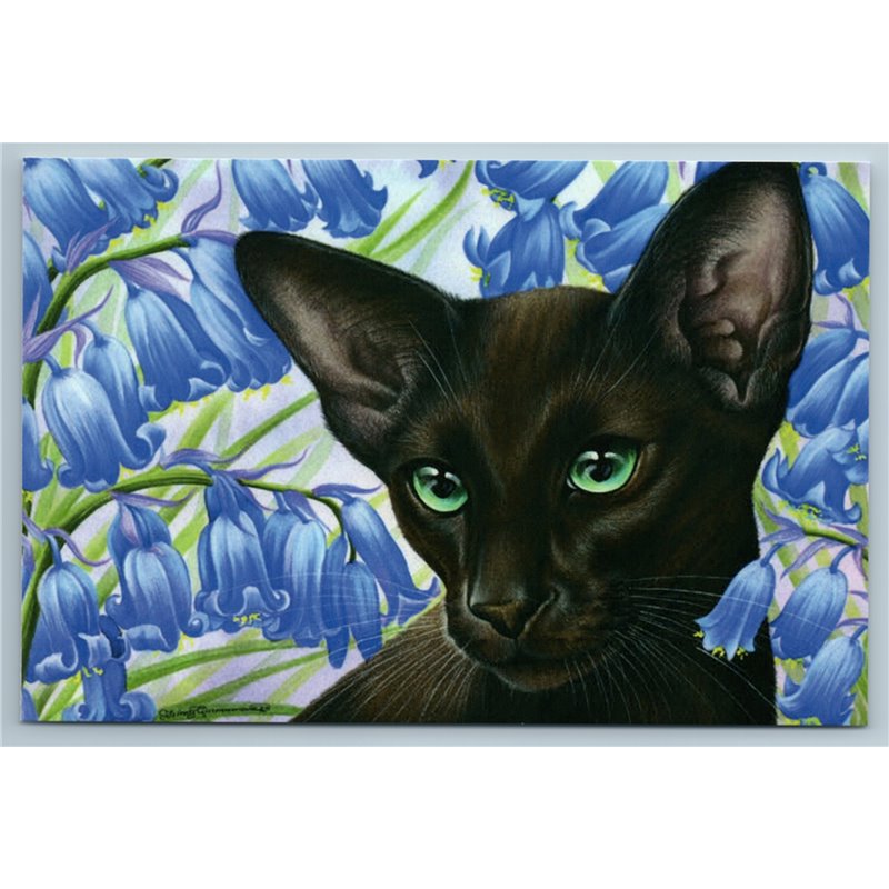 BLACK ORIENTAL CAT near Bluebell Botanical Garden Russian New Postcard