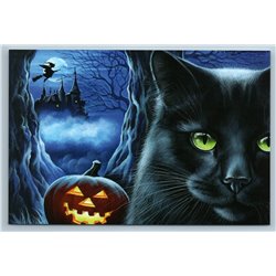 BLACK HALLOWEEN CAT Pumpkin Witch on broom Scary Castle New Postcard