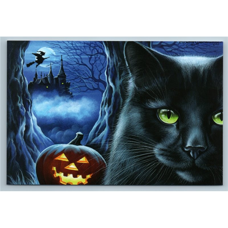 BLACK HALLOWEEN CAT Pumpkin Witch on broom Scary Castle New Postcard