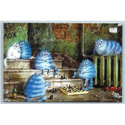 FUNNY CATS play Chess game Queen Rook Checkmate Chessboard New Postcard