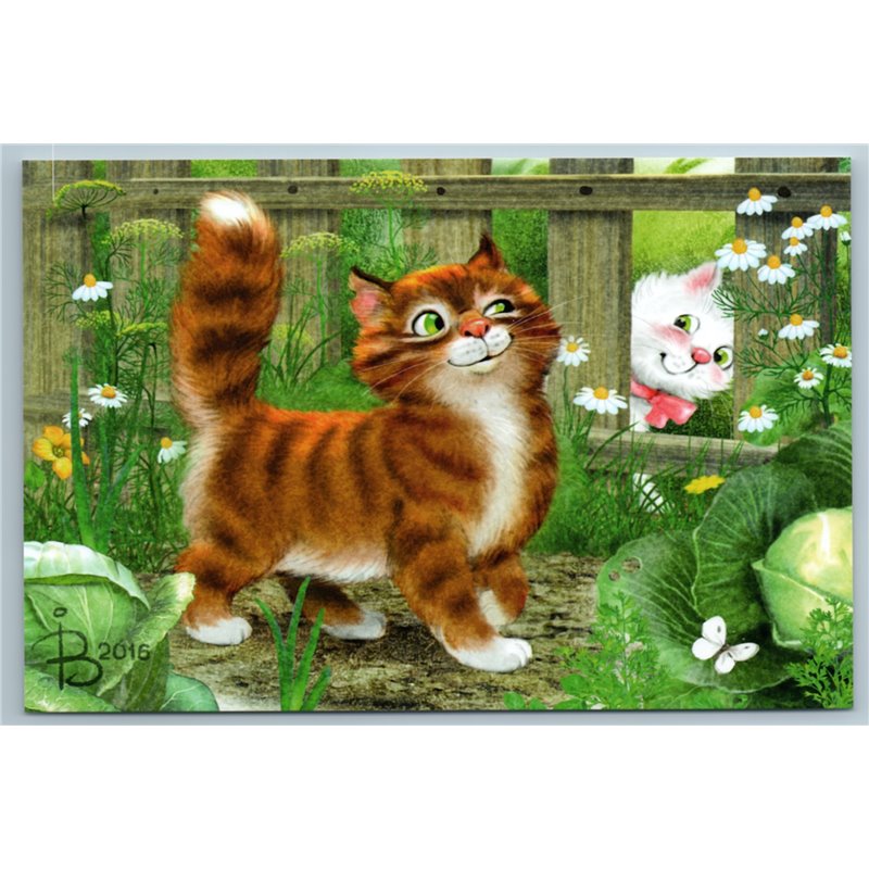 RED CAT winks White Cat admirer Summer Garden Flower Russian New Postcard