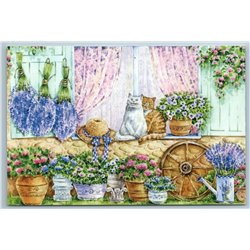 TWO CATS on Windows sill in Garden Flowers Summer Time Russian New Postcard