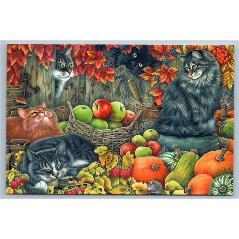 CATS in Garden Autumn Harvest Apple Pumpkin Funny Gardener Russian New Postcard