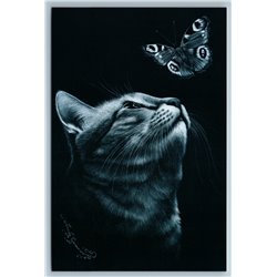 CURIOUS CAT is watching a Butterfly Night Fantasy Russian New Postcard