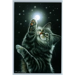 FUNNY CAT tries to touch MOON Night Starry Ski Humor Russian New Postcard