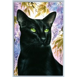 AMAZING BLACK CAT with Green Eyes Panther Floral Wisteria Russian New Postcard